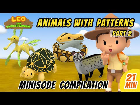 Animals with Patterns Minisode Compilation (Part 2/2) - Leo The Wildlife Ranger | Animation