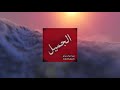 Zaarour & elyosemee - El Gameel (Official Audio & Visualizer) || الجميل