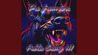 Public Enemy #1 (Freestyle)