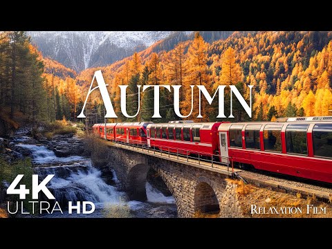 Autumn 4K • Fall Relaxing Music with Nature Deep Focus | Relaxation Film