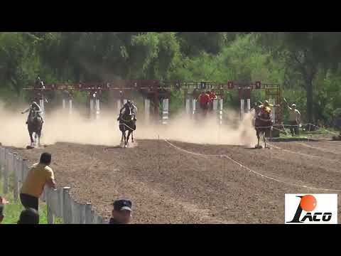 TILIN DON NICO BAÑADO DE SOTO 13 03 2022