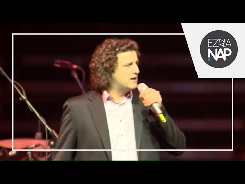 Bolyki Brothers - Homokba írva // Ez az a nap! 2013