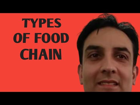 Types of Food Chain