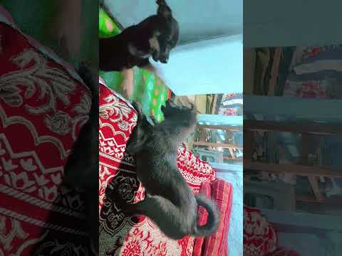 happy 😊 #leer #afrikaans