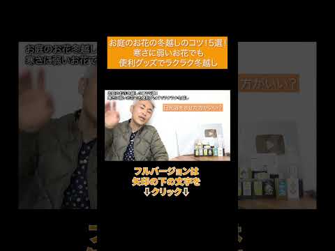 冬にキョウチクトウを鉢に入れる方法は？冬に備えて寒さや霜から守るための3つのヒント?  庭園