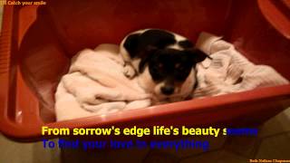 I find your love, I&#39;ll catch your smile- Karaoke style with lyrics - Beth Neilsen Chapman