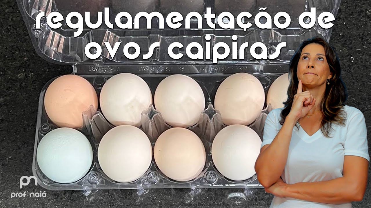 Regulamentação de ovos caipiras