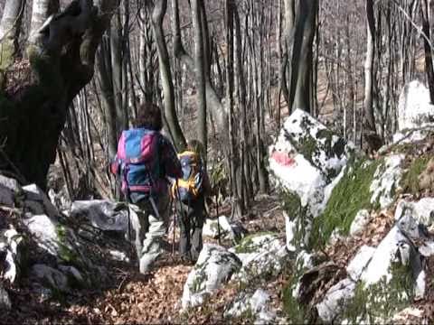 Anello del Monte Mia da Stupizza - SentieriNatura 2009 - 02