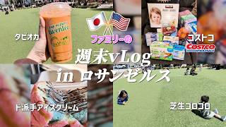 【ロサンゼルス生活】ロサンゼルスのリアルな日曜日。メキシカンアイスとコストコ買い出しVlog
