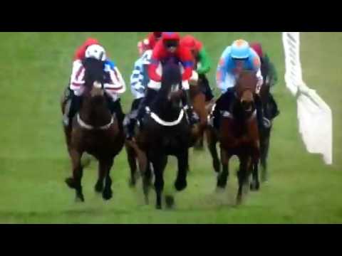 Sprinter sacre champion chase 2016