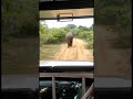 UNLUCKY HUNTERS COMEDY SCENE OF ELEPHANT