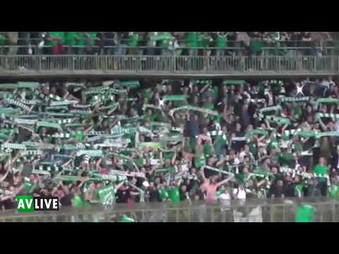 Sciarpata biancoverde a Terni