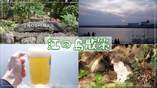 【ピアニストがゆく！】江の島！ビール！猫モフり！（今回はピアノは弾きません🙇）