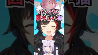 ホントに図々しいおかゆんのおかげで交流が増えたと話すルイ姉に爆笑するミオしゃ #shorts  #ホロライブ #切り抜き #vtuber #大神ミオ #鷹嶺ルイ #猫又おかゆ #ホロ切り抜き