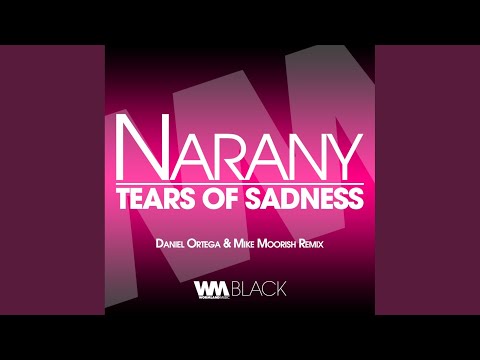Tears Of Sadness (Daniel Ortega & Mike Moorish Remix)