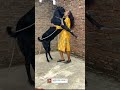 Bhojpuri Bihar ​ States ​ Bhojpurireels ​ Bhojpurimemes ​ Patnabihar ​ Trending ​ Memevi