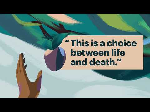 We Studied "Blessing" and "Curse" in the Bible (Here’s What We Found)