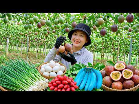 300 Days Harvesting Passion Fruit and Purple Bananas for Market | Cooking and Gardening Farm Life