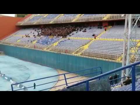 Bad Blue Boys / Dinamo - Slaven Belupo 2019