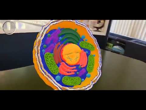 Augmented Reality Demo