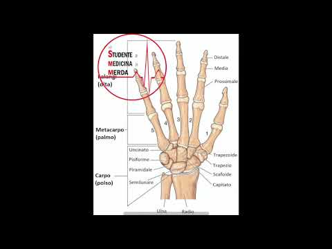 Taras De Manio - OSSA MANO/BRACCIO FREESTYLE