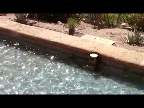 Отель Sheraton Miramar Resort El Gouna 5*.