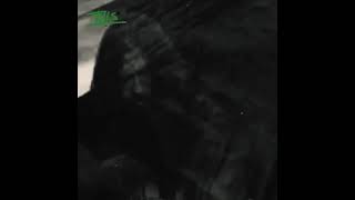 Download lagu Iwan Fals - Lagu Pemanjat #storywa #storymusikiwanfals mp3