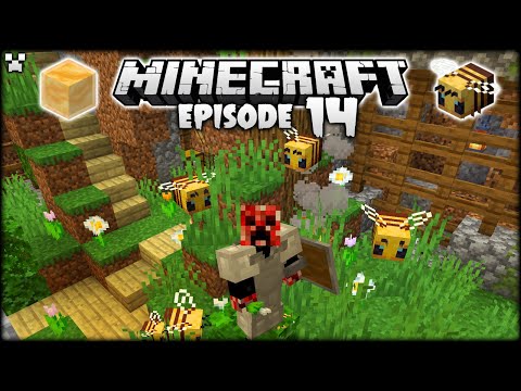 An Introduction to BEES! | Minecraft Survival Ep.14