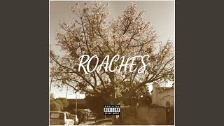 ROACHES Music Video