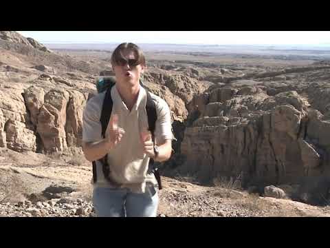 PHOENIX FORGOTTEN - TV Spot Now on Blu Ray