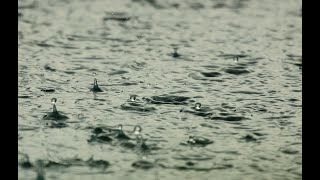 Sorghum wartet auf Regen