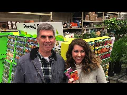 download lagu mp3 mp4 Simply Seeds, download lagu Simply Seeds gratis, unduh video klip Simply Seeds