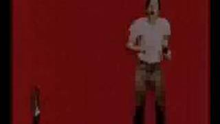 Fleshtones