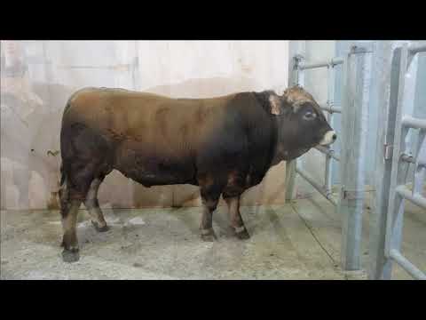 40 - EARL DE VENZAC - SALVET (12)