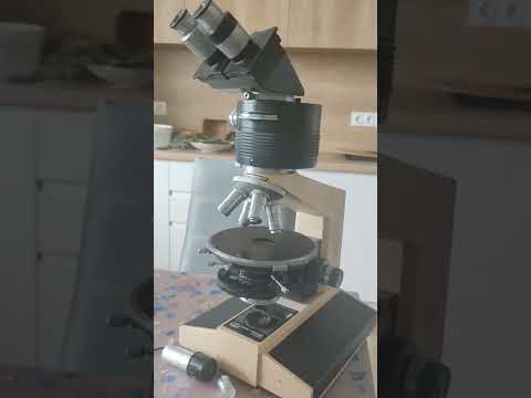 Pzo: Biolar, MB-30s, MS-5, Studar,