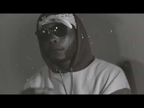 Wildlife Pettodene - Gun an' GunShot (VSR Visualizer)