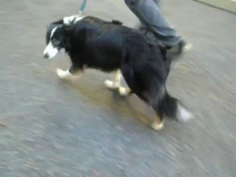 Danneggia linterno del giunto del piede Centro per il trattamento dei vasi testa e del collo