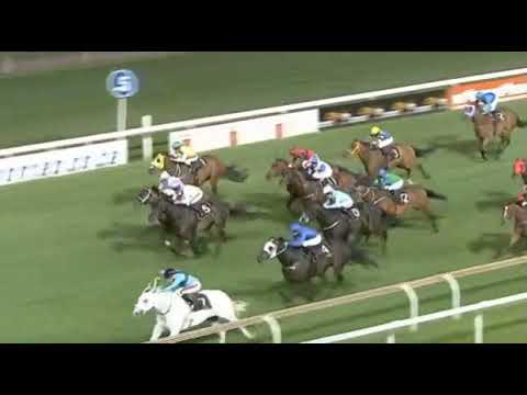 ANNA CAPRI - 2021 Lebelo Sprint