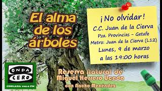 Miniatura de YouTube para: Alma de los árboles