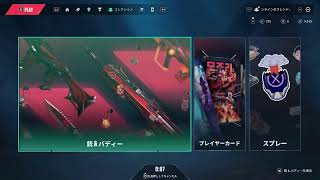 valoソロランク