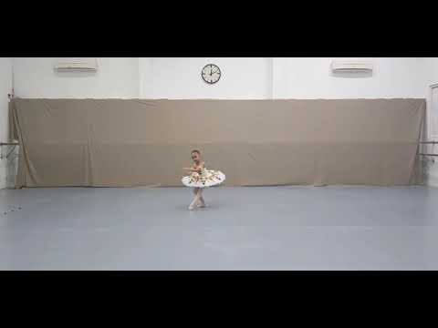 Valiqa Zahra. 6y. Paquita Forest. Gold Medalist