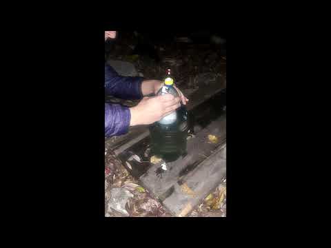 █▬█ █ ▀█▀ kubzik & grb - wiadro