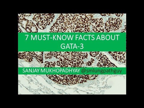 7 must know facts about GATA-3