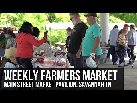 Savannah Courier Tn