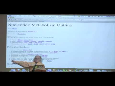 Kevin Ahern's Bite-Sized Biochemistry #39 - Nucleotide Metabolism I