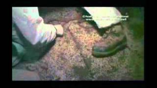 L'Arche de Noé découverte sur le mont Ararat est la première des reliques saintes qui