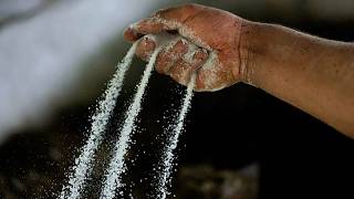 Colombia incauta 7,6 toneladas de cocaína rumbo a Países Bajos en el puerto de Cartagena