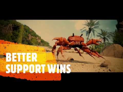 Better Support wins