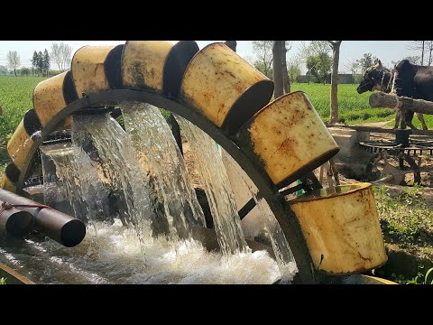 Persian Wheel Method of Irrigation | Water Wheel Irrigation System | Rehat Irrigation