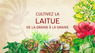 Letxuga haziak nola lortu - Kokopelli (frantsesez)